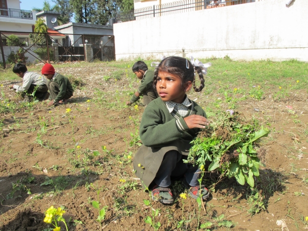 Sensibilisation au jardinage dans une école