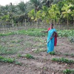 Jardin potager et membre du SHG de Netaji Nagar