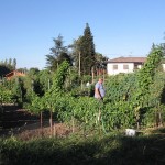 Le jardin d'un bénéficiaire