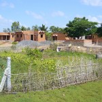 Jardin potager bio du village