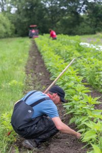 Micro Ferme de Sainte Marthe