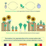 Infographie activités & résultats sur 3 ans