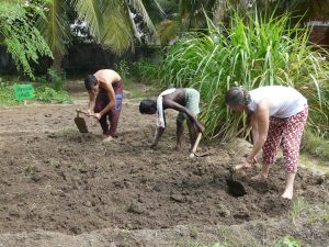 activités jardinage