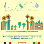 Infographie Biofermes sur 3 ans : Inde - France - Sénégal