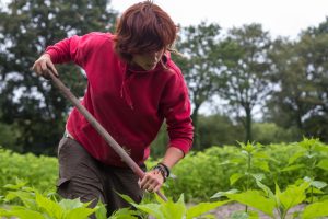 Micro Ferme de Sainte Marthe