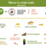 Infographie, le projet Valoriser les céréales locales - juin 2018