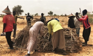 Formation au composte par Zeina Loum - Nguiguiss Bamba - Juillet 2020 (2)