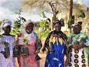 Formation à l'arboriculture - Nguiguiss Bamba - Septembre 2020