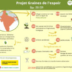 Infographie bilan des 8 années du projet Graines de l'Espoir en Inde