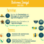 Infographie le projet Biofermes Internationales au Sénégal, juin 2018