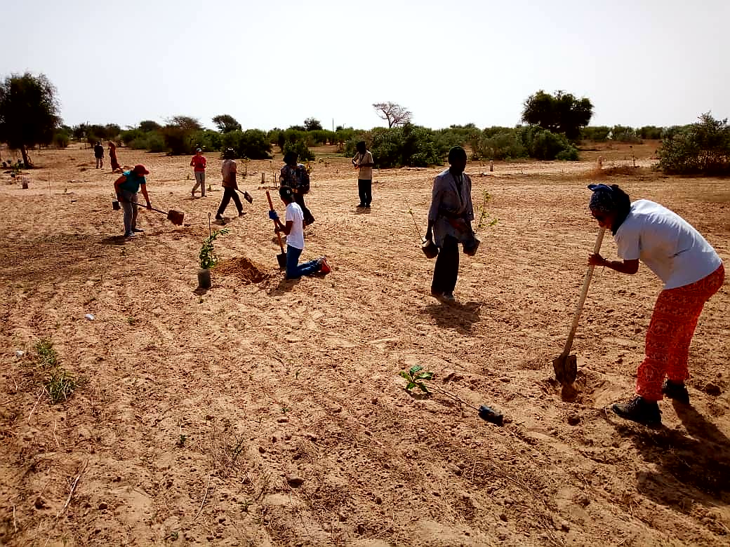 Juillet 2018 - Plantation des arbres fruitiers