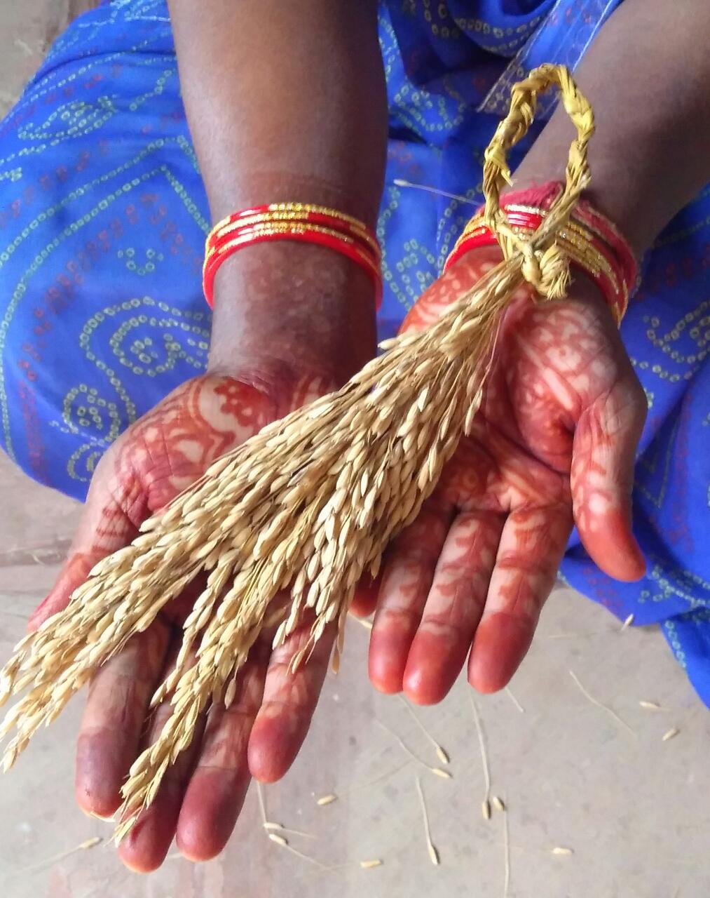 Sheela devi showing seed varieties