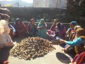 Turmeric seed distribution in Rudraprayag