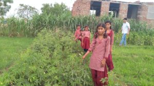 Veg. garden, Adarsha Bal Kalyan school, Borkhandi kala, RJ