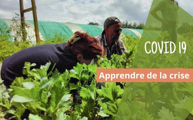 Diapo covid 19