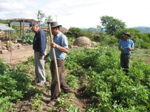 Bolivie PRODESCO (3)