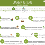 infographie du projet Graines de Résilience