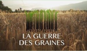 Guerre des graines