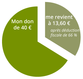 camembert-équivalence