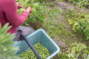 Micro Ferme de Sainte Marthe