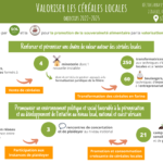 Infographie projet Valoriser les céréales locales phase 3