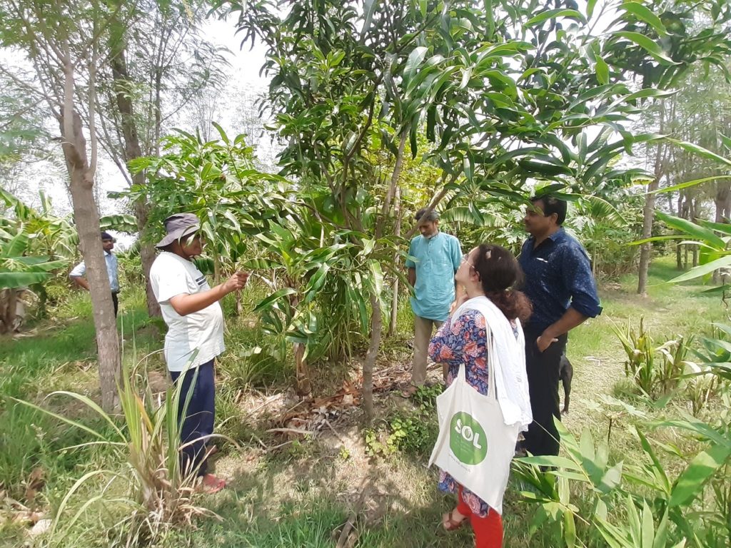 Visite d'une ferme modèle en agroforesterie à Durdih ( district du Lakhisarai) avec les organisations Kethee et Regenerative Bihar