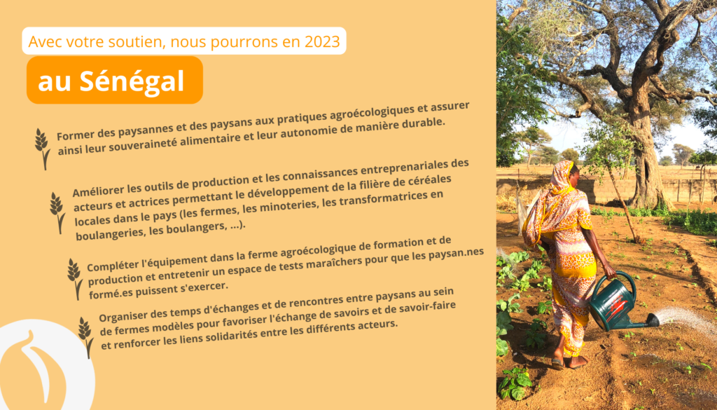 Actions Sénégal