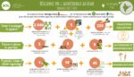 Infographie du projet Résilience par l'Agroécologie au Bihar