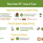 Infographie sur les avancées du projet en 2017, juin 2018