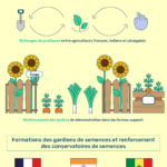 Infographie activités & résultats sur 3 ans du projet Biofermes Internationales, octobre 2017