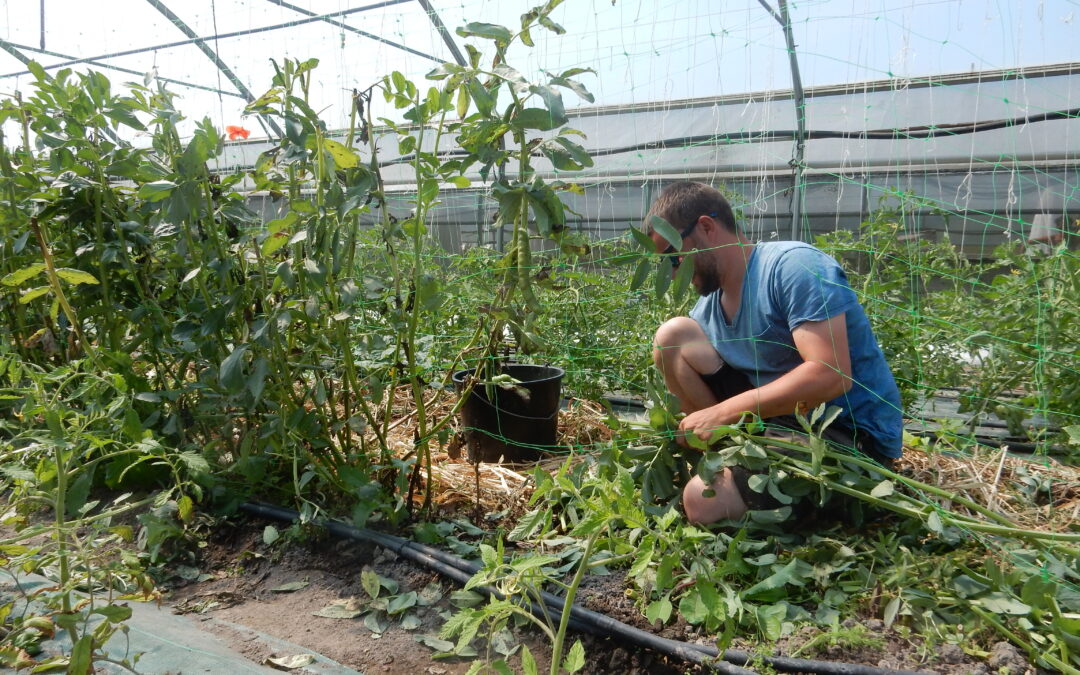 Installation agricole : où en est la réforme du parcours ?