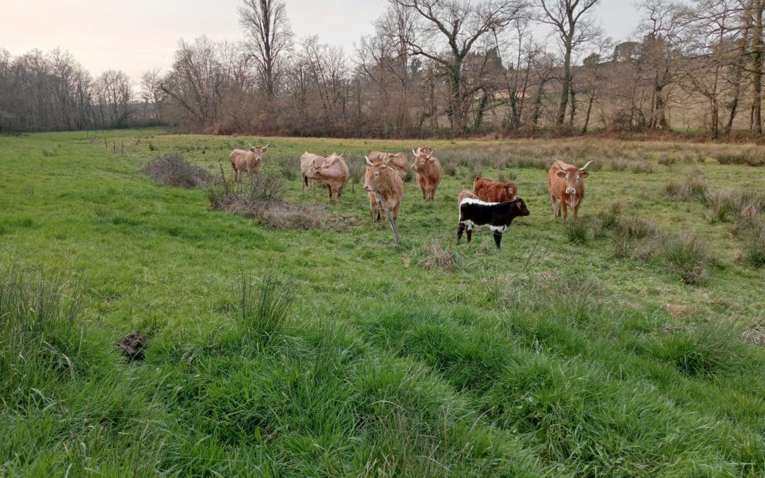 Renouvellement Agricole et Transition Écologique : les Apports de l’ESS et l’Exemple de Passerelles Paysannes