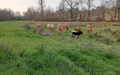 Renouvellement Agricole et Transition Écologique : les Apports de l’ESS et l’Exemple de Passerelles Paysannes
