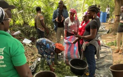 Former à l’agroécologie en s’appuyant sur les savoirs paysans : les enseignements du projet FFASE