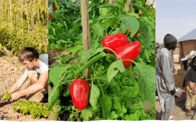 L’agroécologie répare !