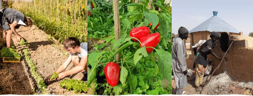 L’agroécologie répare !