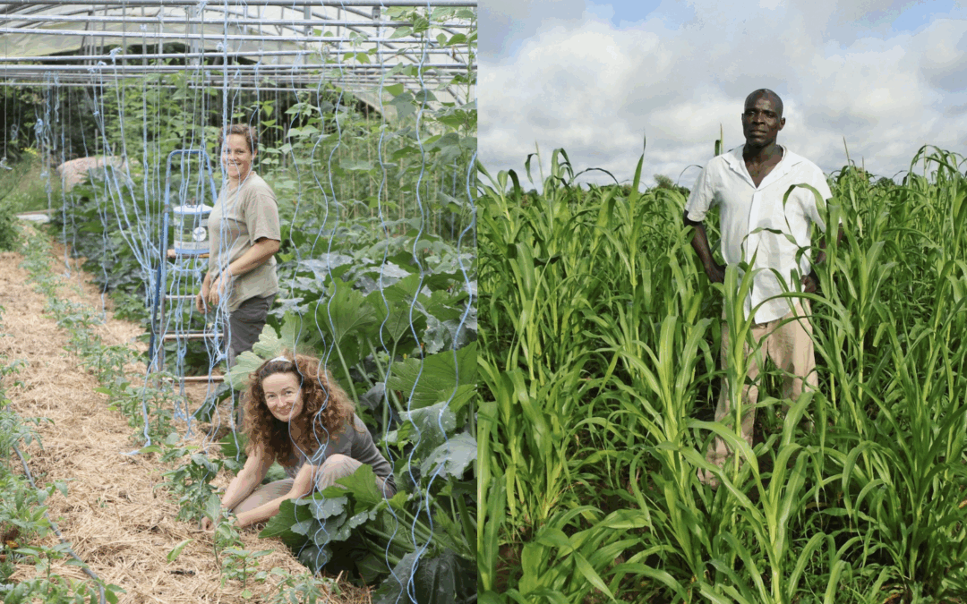 Lancement campagne de dons 2025