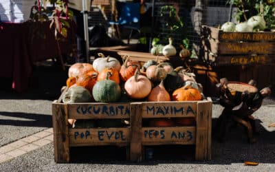 Un an pour faire du droit à l’alimentation une réalité en Europe