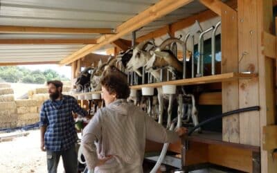 L’appel à candidatures au Compagnonnage Paysan est ouvert pour l’année 2026