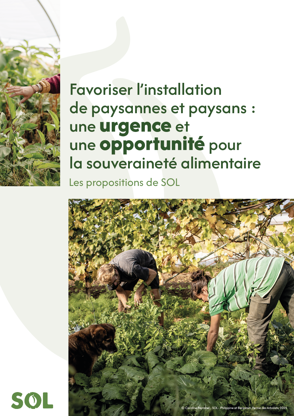 couverture-plaidoyer-IT