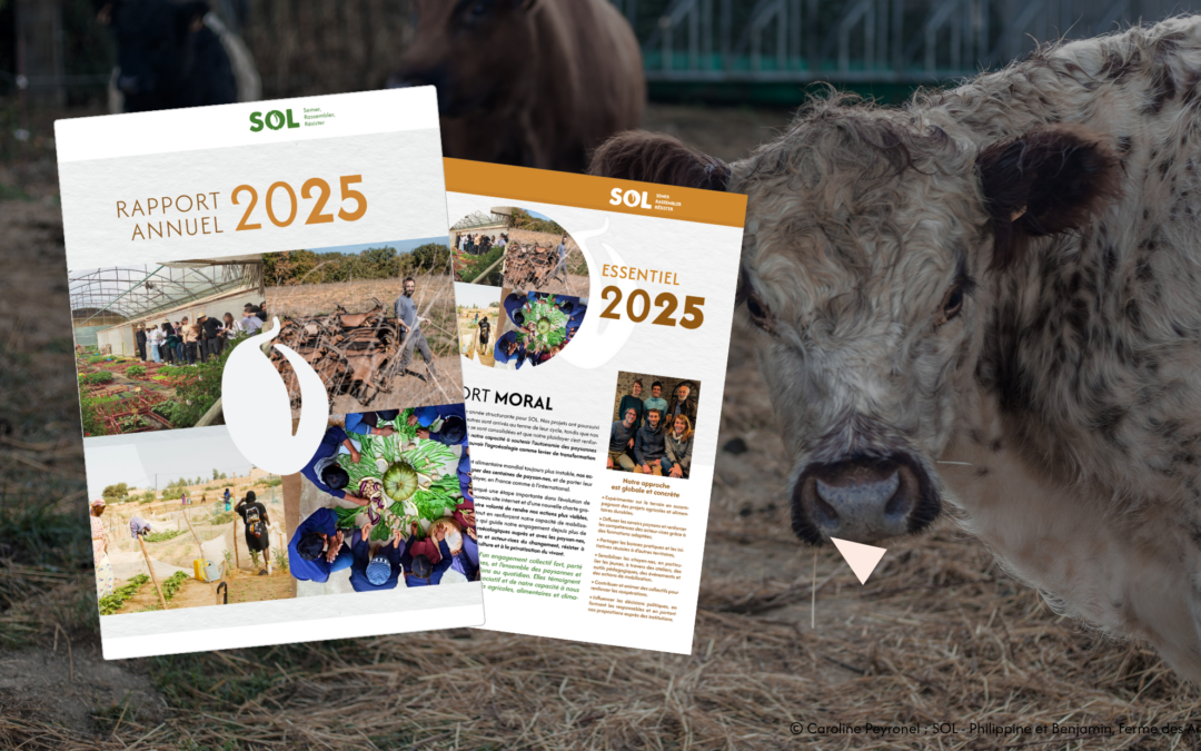 Découvrez le Rapport d’Activité 2025 !