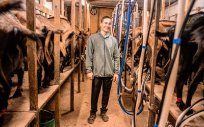 Nouvelle loi agricole : encore un rendez-vous manqué pour le renouvellement agricole