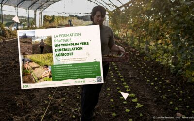 Publication – La formation pratique, un tremplin vers l’installation agricole