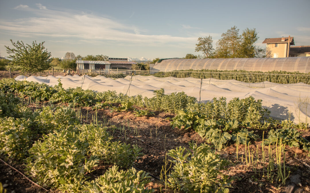 France Services Agriculture : sommes-nous vraiment prêt·es pour 2027 ?