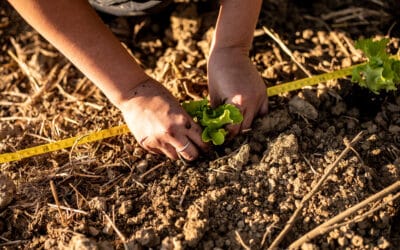 Et si la prochaine Politique agricole commune était l’occasion de reprendre la main sur notre alimentation ?